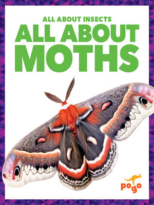 cover image of All About Moths